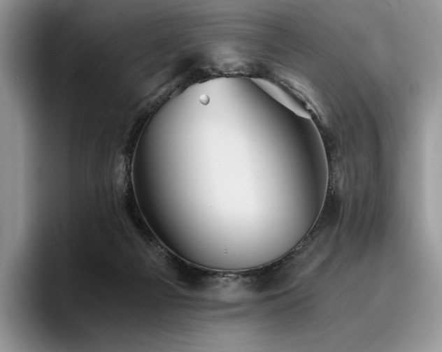 X0000096220121200801181458