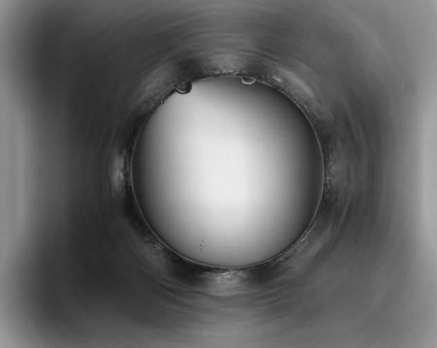 X0000096220122200801181458