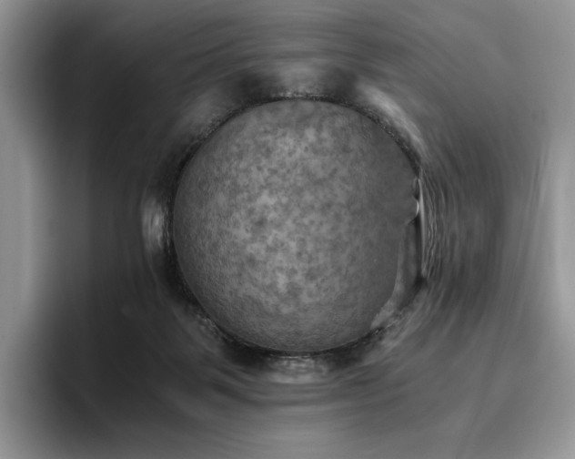 X0000096220123200801181458