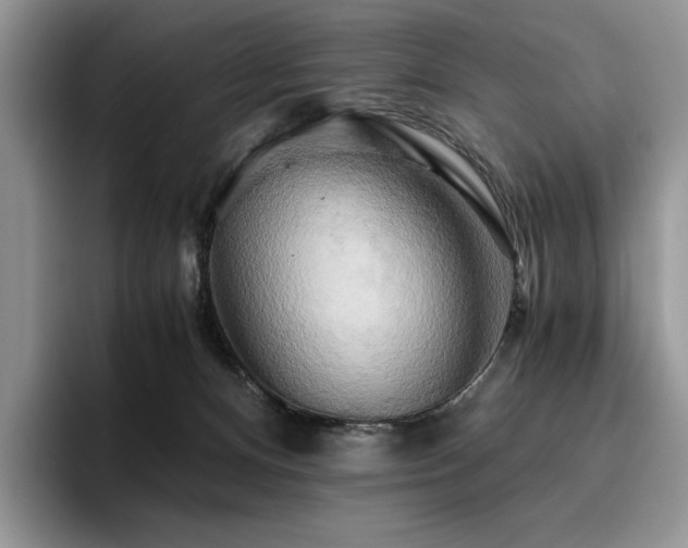 X0000096220128200801181458