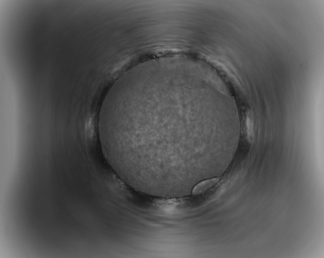 X0000096220131200801181458