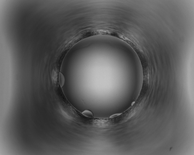 X0000096220139200801181458