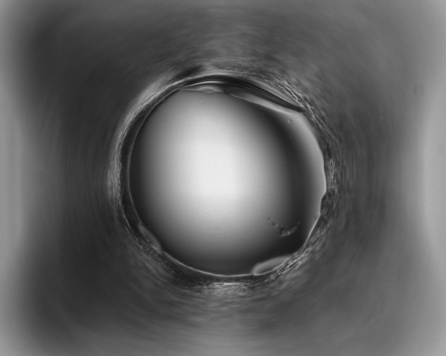 X0000096220150200801181457
