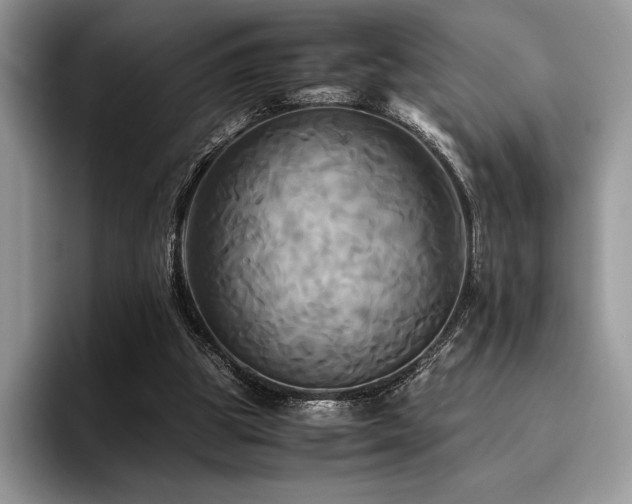 X0000096220153200801181457
