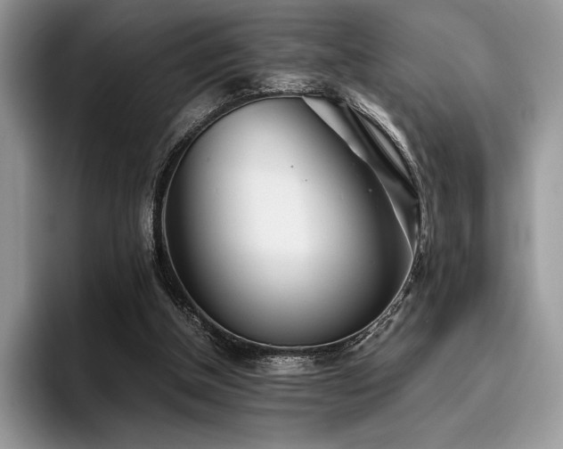 X0000096220154200801181457