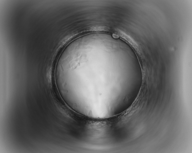 X0000096220155200801181457