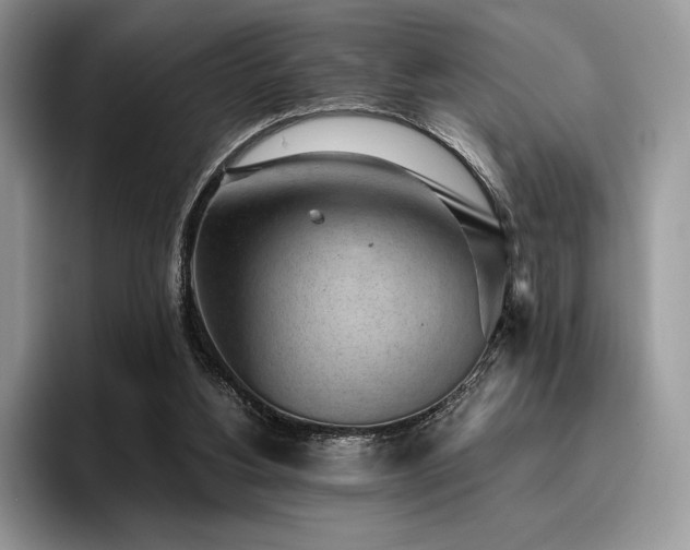 X0000096220156200801181457