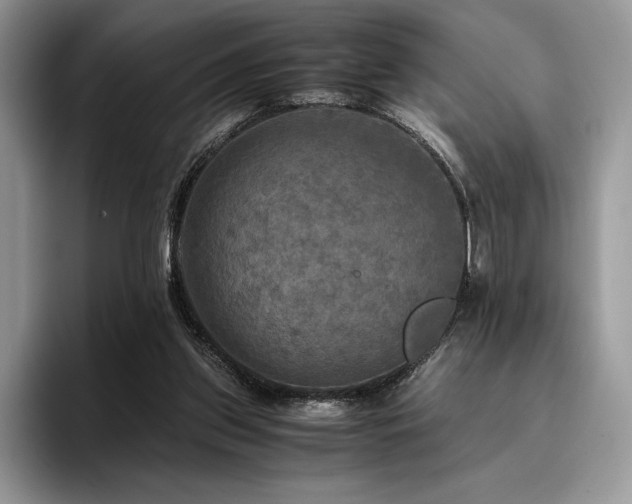 X0000096220157200801181457