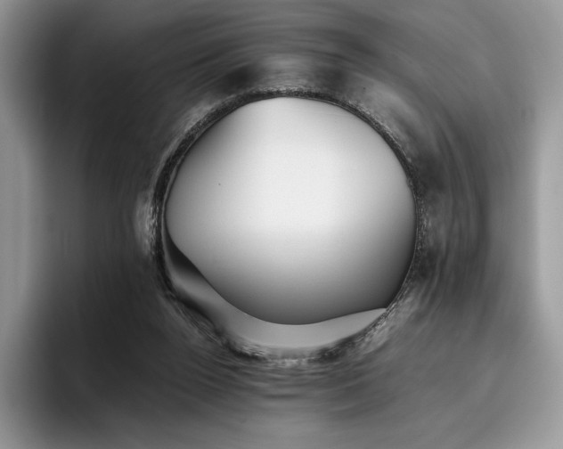X0000096220160200801181457