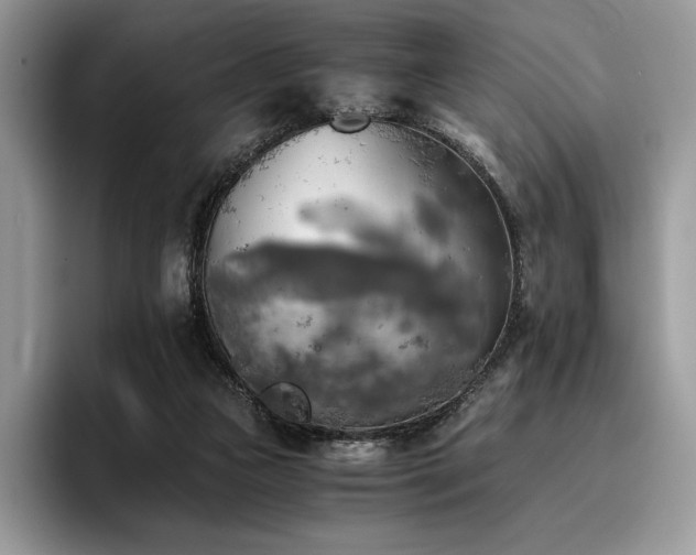 X0000096220161200801181457