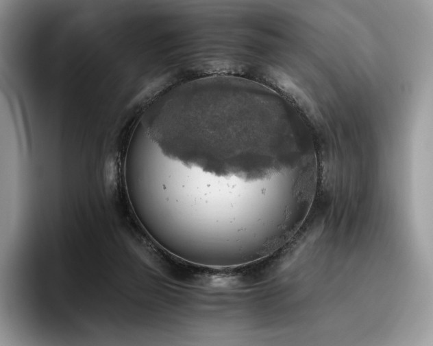 X0000096220165200801181458