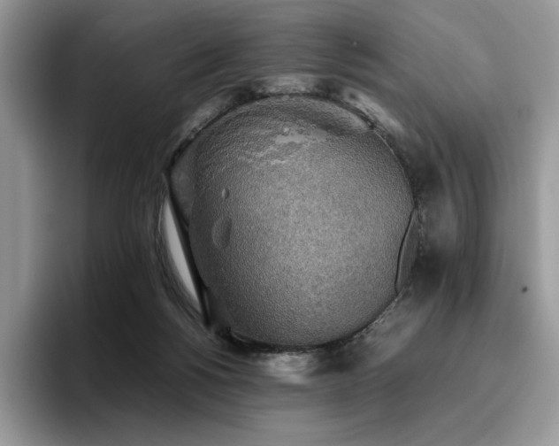 X0000096220168200801181458
