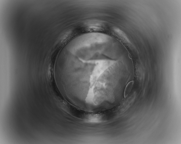 X0000096220169200801181458