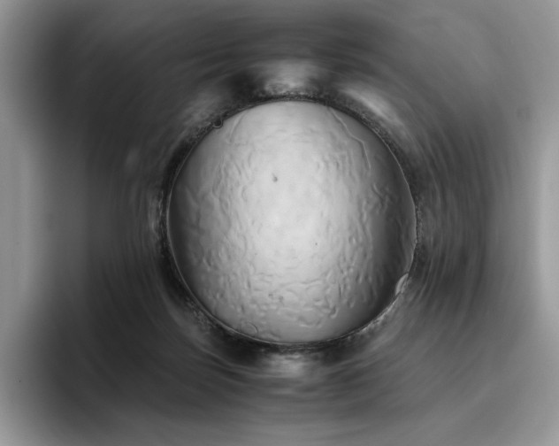 X0000096220171200801181458