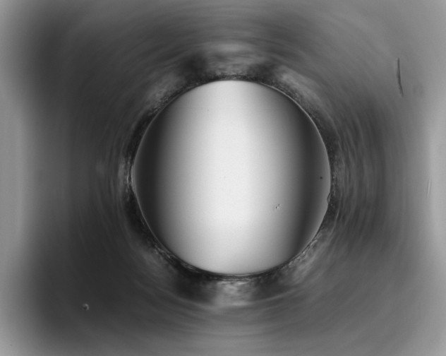 X0000096220172200801181458