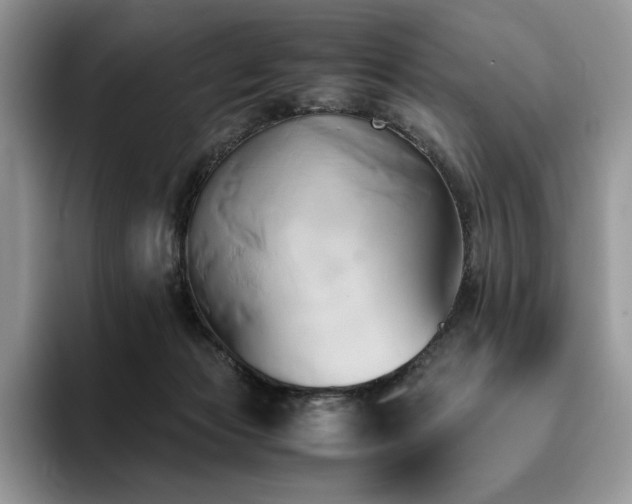 X0000096220173200801181458