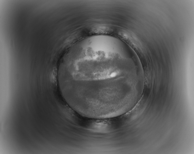 X0000096220175200801181458