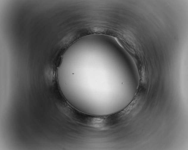 X0000096220176200801181458