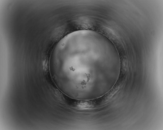 X0000096220177200801181458