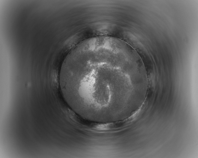 X0000096220178200801181458