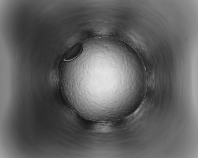 X0000096220179200801181458