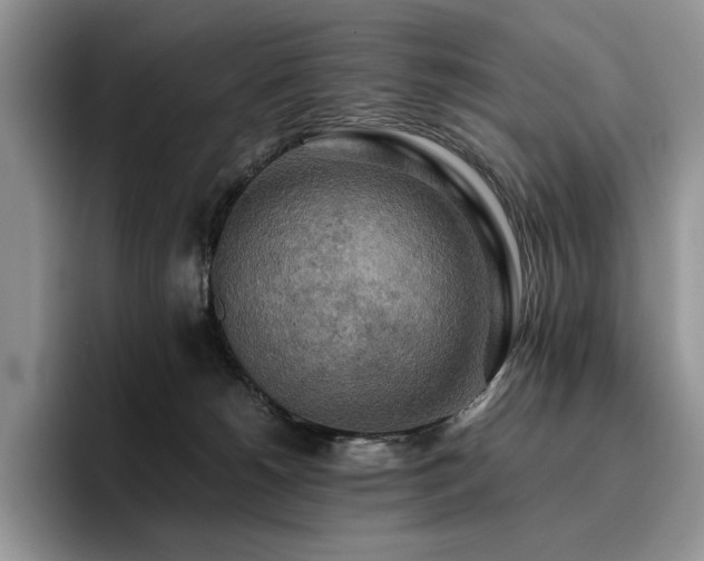 X0000096220180200801181458