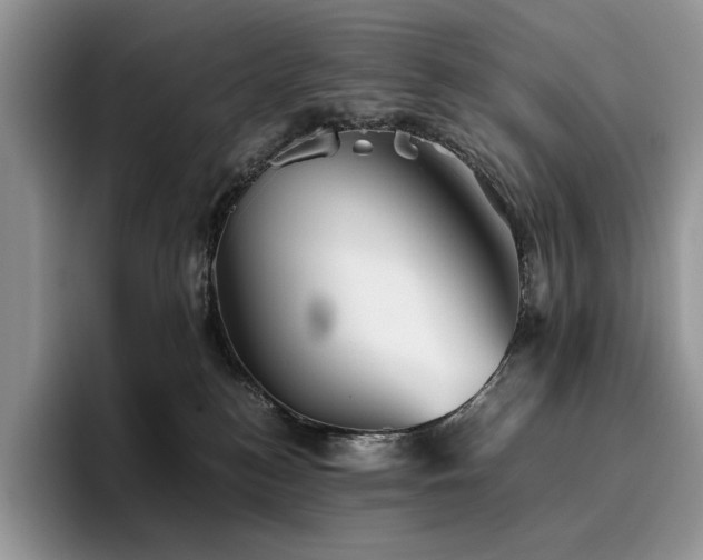 X0000096220184200801181458