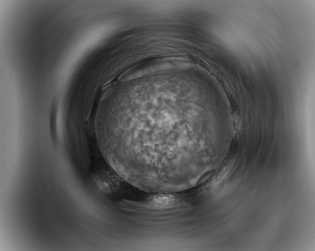 X0000096220189200801181458