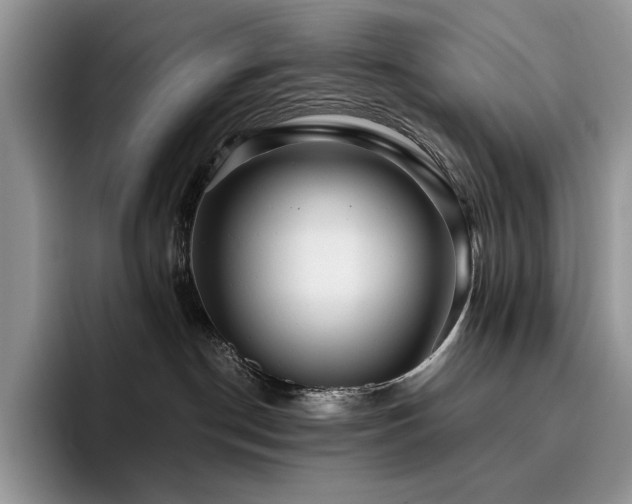 X0000096220190200801181458