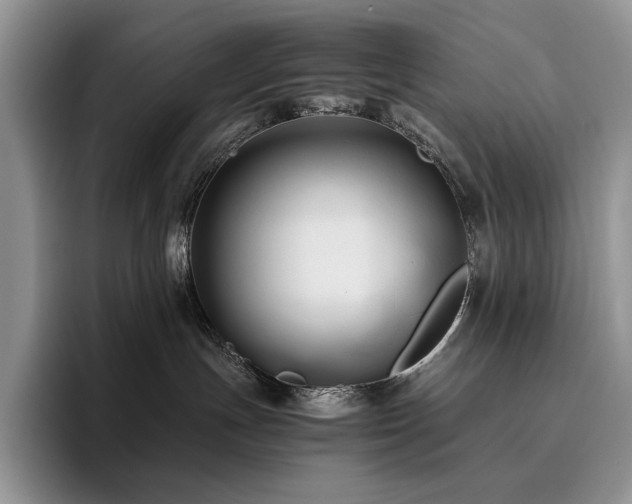 X0000096220191200801181458
