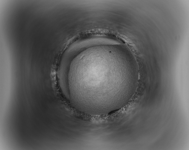 X0000096220192200801181458