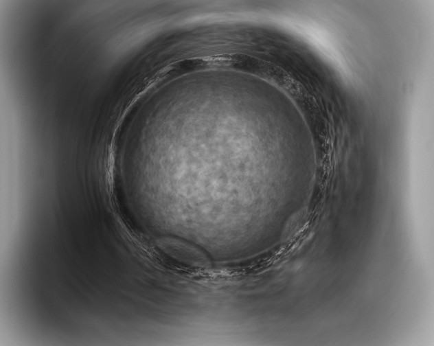 X0000096220194200801181457