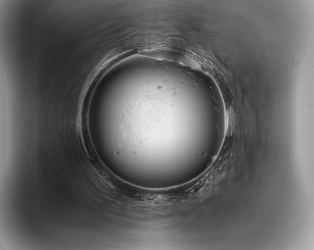 X0000096220195200801181457