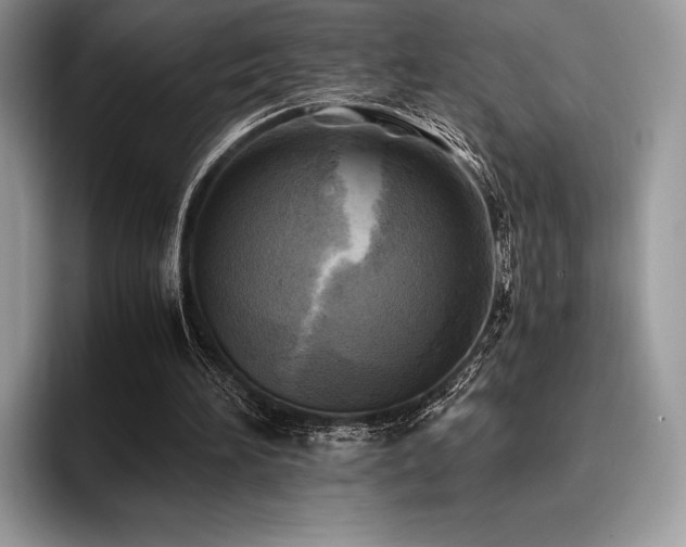 X0000096220196200801181457
