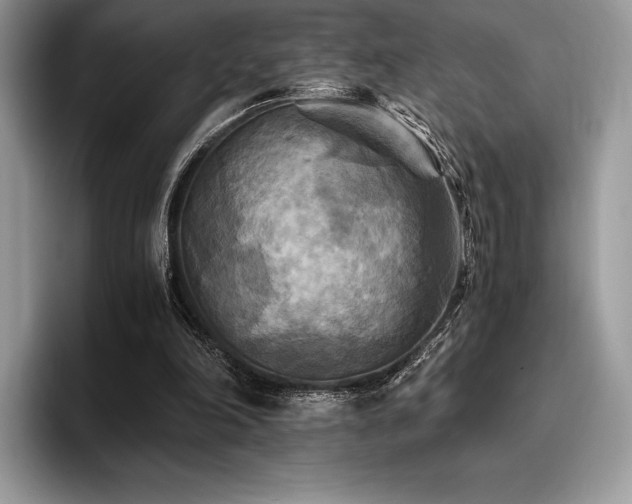 X0000096220198200801181457
