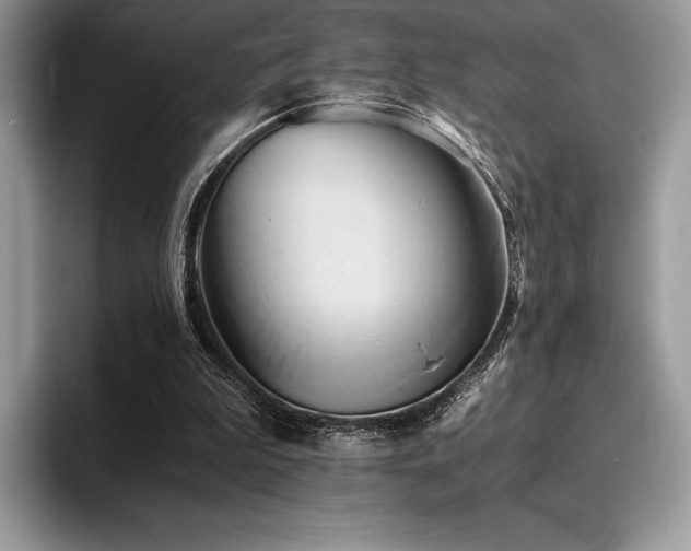 X0000096220199200801181457