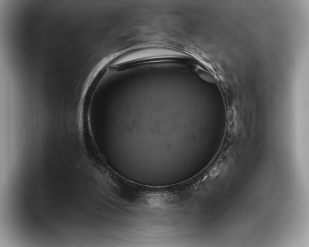 X0000096220200200801181457