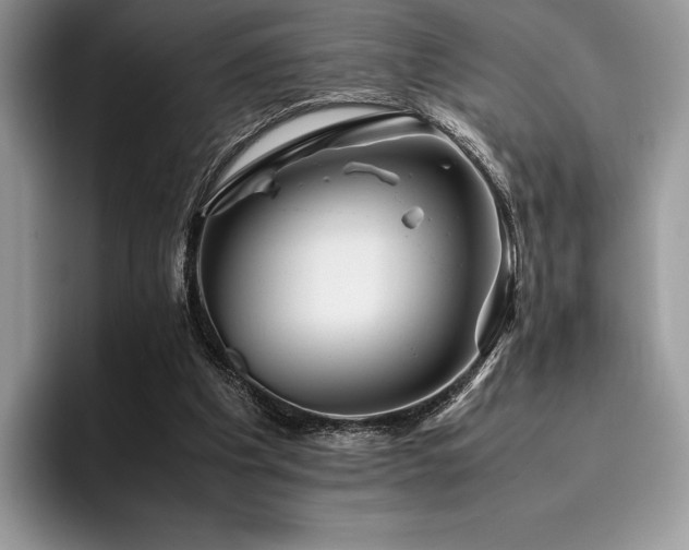 X0000096220201200801181457