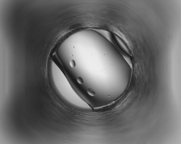 X0000096220203200801181457