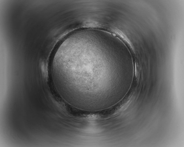 X0000096220204200801181457