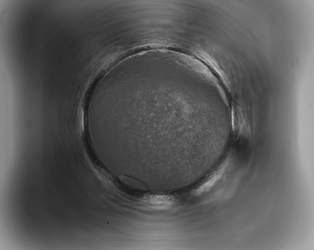 X0000096220205200801181457