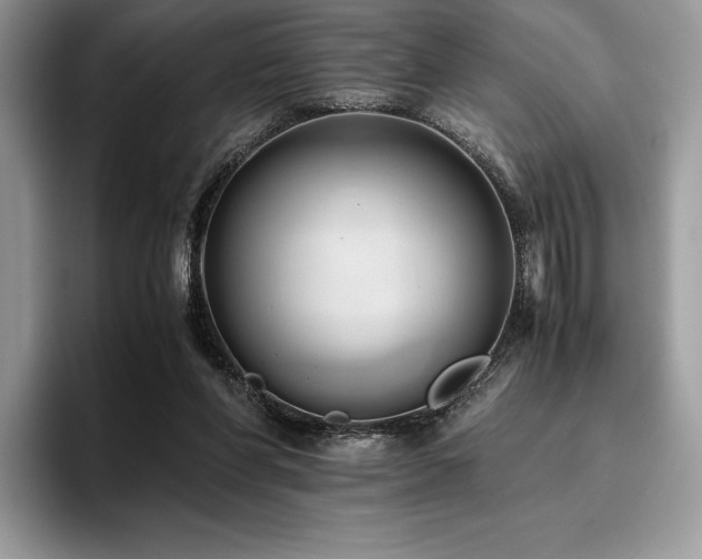 X0000096220206200801181457