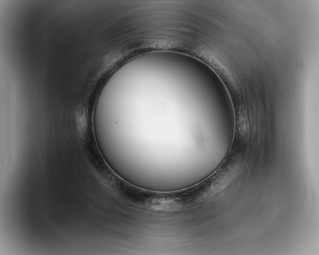 X0000096220208200801181457