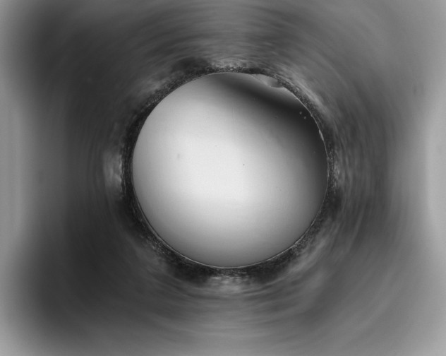 X0000096220211200801181457