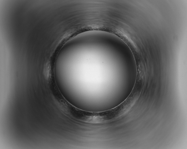 X0000096220212200801181457