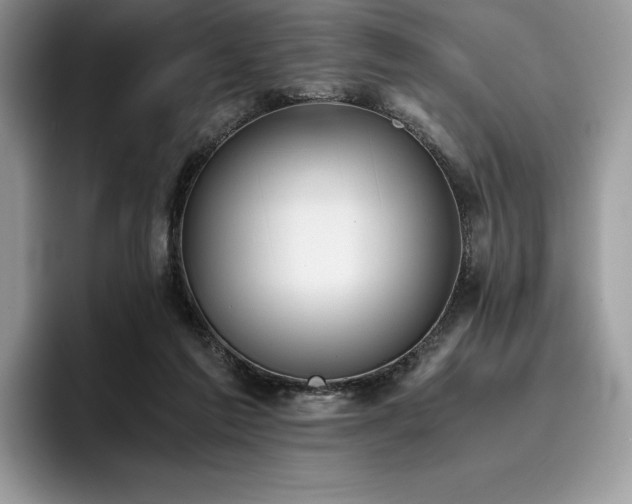 X0000096220213200801181457