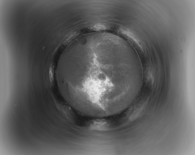 X0000096220214200801181457