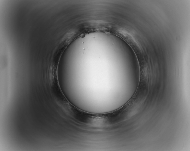 X0000096220218200801181457