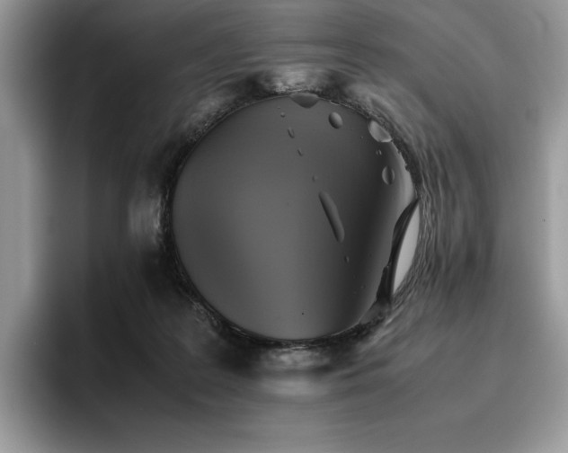 X0000096220219200801181457