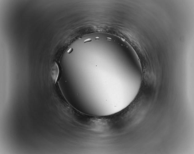 X0000096220221200801181457